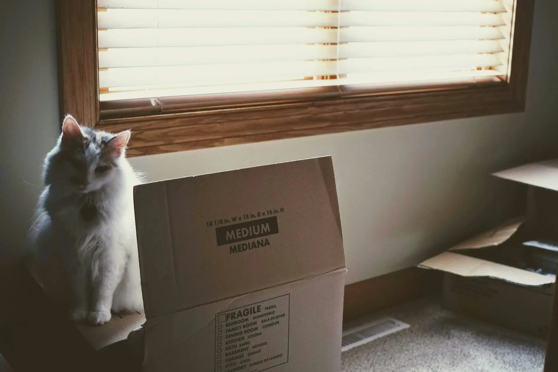 Choose a workable moving date in Dollard-des-Ormeaux